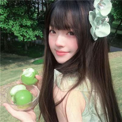 南茅北马