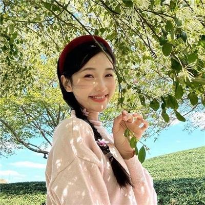 仙人掌花