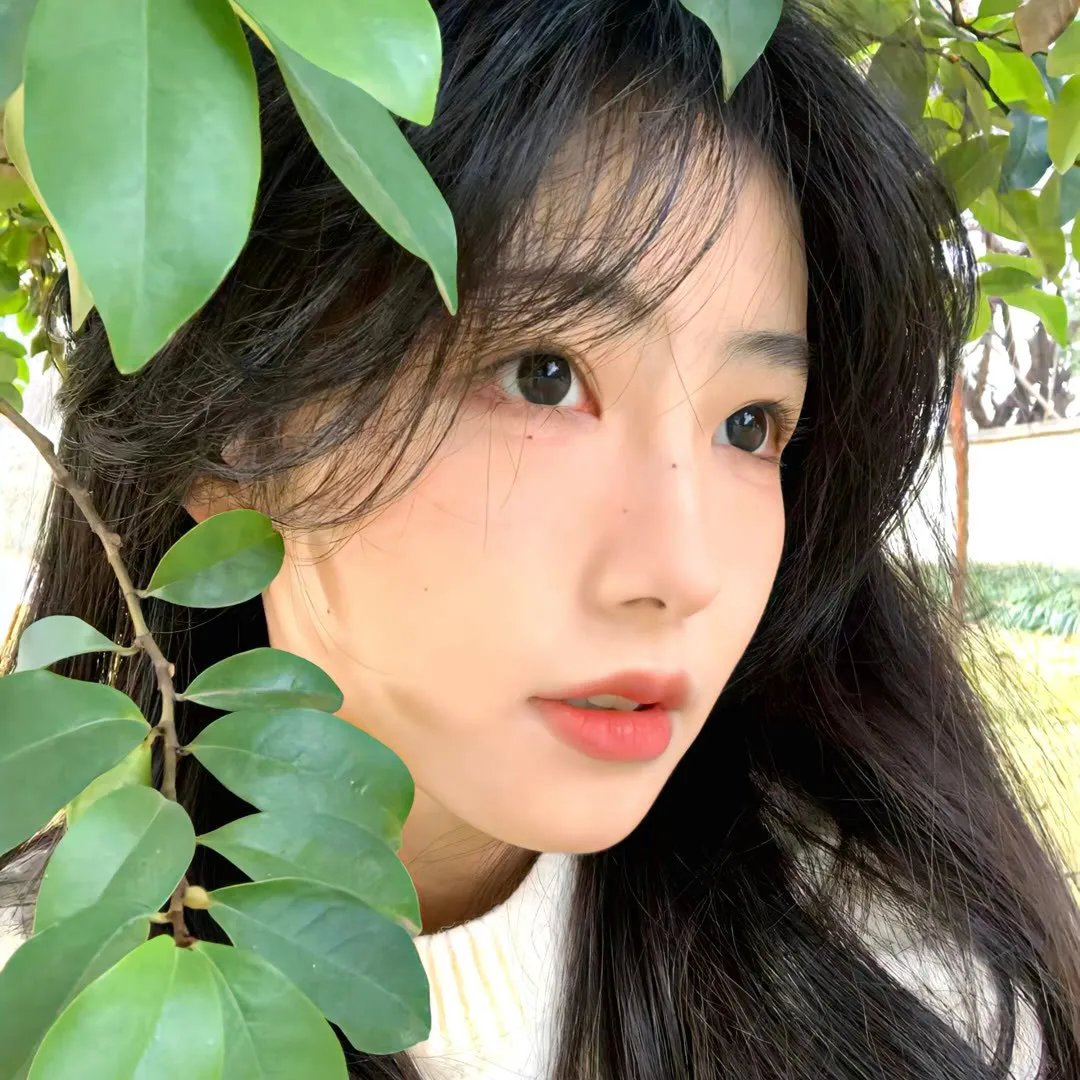 城寨出来者